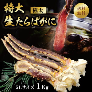 ^oKj ΊI ^oI ^oKj  g I ɑ ɑ ̂ ^oI Ⓚ ^ ɑ1000g g Mtg p  NX}X  Ε   