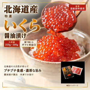 ＼極上 ／希少 国産 北海道 天然鮭いくら 醤油漬け 特選 鮭卵 いくら イクラ 冷凍 味付けいくら 本いくら 楽天ラン