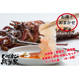 【12時までの注文で当日発送 送料無料】　おためし サイズ小～大各サイズ入 母の日 産地直送 千葉県産 活〆生冷凍天然伊勢海老 お刺身用 2kg(4~8尾)生食 ギフト 贈り物 お祝い お取り寄せグルメ イセエビ いせえび お歳暮グルメ BBQ おためし・お得用 高級料亭使用