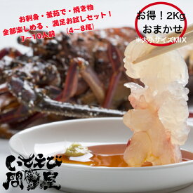 【12時までの注文で当日発送 送料無料】おためし サイズ小～特大各サイズ入 父の日 産地直送 千葉県産 活〆生冷凍天然伊勢海老 お刺身用 2kg(4~8尾)生食 ギフト 贈り物 お祝い お取り寄せグルメ イセエビ いせえび お歳暮グルメ BBQ おためし・お得用 高級料亭使用