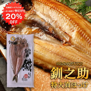 y12/120%OFFN[|zzIzkC H V  ^ق銱 i1j 500gO̓TCY zbP @  ̂ n yY  v[g Mtg  