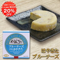 【1日限定20%OFFクーポン！】はやきた ブルーチーズ 100g （1個） ◎ 北海道 安平町 夢民舎 ご当地 お土…