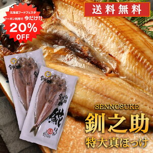 y12/120%OFFN[|zzIzkC H V  ^ق銱 i2Zbgj  500gO̓TCY zbP @  ̂ 2Zbg n yY 