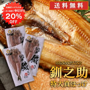 y12/120%OFFN[|zzIzkC H V  ^ق銱 i3Zbgj  500gO̓TCY zbP @  ̂ 3Zbg n yY 