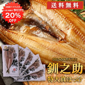 y12/120%OFFN[|zzIzkC H V  ^ق銱 i5Zbgj  500gO̓TCY zbP @  ̂ 5Zbg n yY 