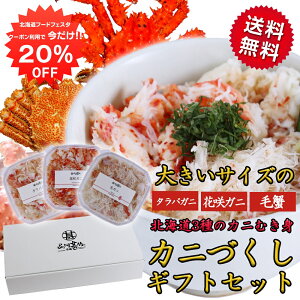 y1IN[|p20%OFF!!zkCCNMtg 傫TCỸJjÂ3JjقgZbg  ^oKj ъI ԍI CN H CNMtg ܂ n yY 