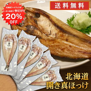 y12/120%OFFN[|zzIzJ^zbP i5Zbgj  Jق @ 蔲Q zbPJ  Ă kC H n yY  v[g 