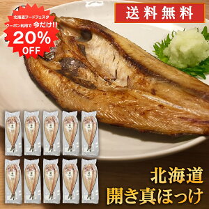 y12/120%OFFN[|zzIzJ^zbP i10Zbgj  Jق @ 蔲Q zbPJ  Ă kC H n yY  v[g 