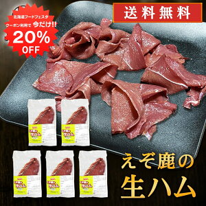 y1IN[|p20%OFF!!zWrG ̐n 50gi5Zbgj  kCfY ڈ΃VJ n ܂ kCY n yY  v[g Mt