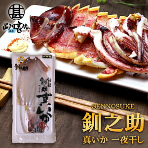kC H V ^銱 2 i1܁j CJ G  ̂ n yY  v[g Mtg  䒆  Ε Ε