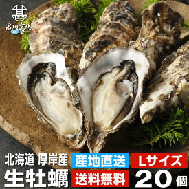 生牡蠣Lサイズ20個 約2kg 送料無料 まるえもん 北海道 厚岸産 殻付き 産地直送 生食用 牡蠣 かき カキ 生カキ 生かき 生ガキ 生がき ご当地 お土産 お取り寄せ プレゼント ギフト 贈答 御中元 お中元 母の日 父の日