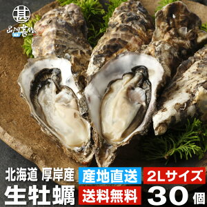 生牡蠣2Lサイズ30個 約4kg 送料無料 まるえもん 北海道 厚岸産 殻付き 産地直送 生食用 牡蠣 かき カキ 生カキ 生かき 生ガキ 生がき ご当地 お土産 お取り寄せ プレゼント ギフト 贈答 御中元