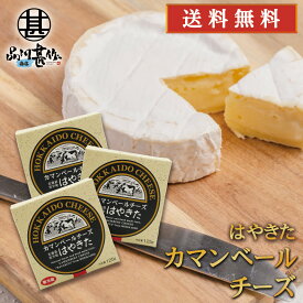 はやきたカマンベールチーズ 110g （3個セット） ◎ 北海道 安平町 夢民舎 ご当地 お土産 お取り寄せ プレゼント ギフト 贈答 御中元 お中元 御歳暮 お歳暮