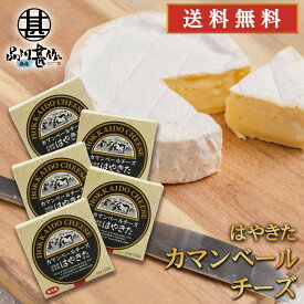 はやきたカマンベールチーズ 110g （5個セット） ◎ 北海道 安平町 夢民舎 ご当地 お土産 お取り寄せ プレゼント ギフト 贈答 御中元 お中元 御歳暮 お歳暮