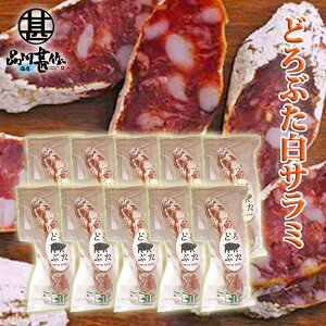 ǂԂT~1{ 80g i10Zbgj kC \ эL ` Gp\ q  n yY  v[g Mtg  䒆  Ε Ε