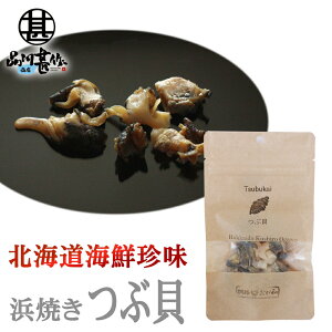 a lĂԊL 20g CN ܂  kC n yY  v[g Mtg  䒆  Ε Ε