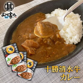 十勝清水牛カレー （3個セット） 中辛 レトルトパウチ ビーフカレー 北海道 ご当地 お土産 お取り寄せ プレゼント ギフト 贈答 御中元 お中元 母の日 父の日