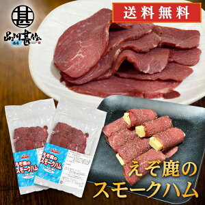 WrG ̃X[Nn 50gi2Zbgj  kCfY n ڈ΃VJ ܂ kCY n yY  v[g Mtg  䒆  Ε 