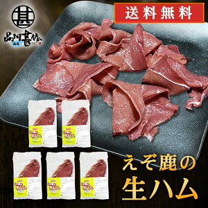WrG ̐n 50gi5Zbgj  kCfY ڈ΃VJ n ܂ kCY n yY  v[g Mtg  䒆  Ε Ε