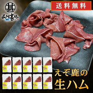WrG ̐n 50gi10Zbgj  kCfY ڈ΃VJ n ܂ kCY n yY  v[g Mtg  䒆  Ε 