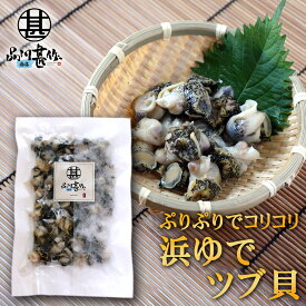 北海道 浜ゆでツブ貝 250g 灯台つぶ 釧路産 ボイル つぶ貝 おつまみ 塩茹で ご当地 お土産 お取り寄せ プレゼント ギフト 贈答 御中元 お中元 御歳暮 お歳暮