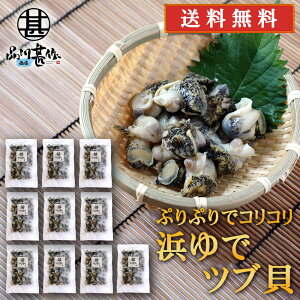 kC lŃcuL 250gi10pbNZbgj  HY {C ԊL ܂ 䥂 n yY  v[g Mtg  䒆  Ε Ε