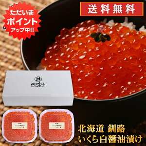 y}\ԒP10{IzkC H 甒ݖЂ 170g i2Zbgj v340g   CN CN ݖЂ n yY  v[g Mtg  䒆