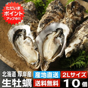 【マラソン期間中P20倍!】生牡蠣2Lサイズ10個 約1.3kg 送料無料 まるえもん 北海道 厚岸産 殻付き 産地直送 生食用 牡蠣 かき カキ 生カキ 生かき 生ガキ 生がき ご当地 お土産 お取り寄せ プレ
