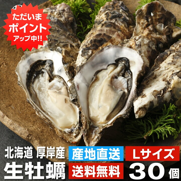 楽天市場 生牡蠣ｌサイズ３０個 約3kg 送料無料 まるえもん 北海道 厚岸産 殻付き 産地直送 生食用 牡蠣 かき カキ 生カキ 生かき 生ガキ 生がき お取り寄せ プレゼント ギフト 贈答 御歳暮 お歳暮 お中元 海鮮グルメ北海道 品川甚作市場