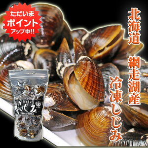 y18̓Ń|Cg5{IzkC ԑΎY Ⓚ500g i1j VW~ X`̋ Ⓚ n yY  v[g Mtg  䒆  Ε Ε