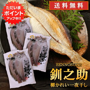 yC[OXӍՂ̊ԂP5{IzkC H V JC銱 2 i3܃Zbgj  ꂢ   ̂ n yY  v[g Mtg  䒆 