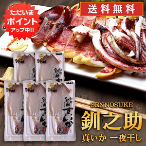 yBlackFridayԒP5{IzkC H V ^銱 2 i5܃Zbgj  CJ G  ̂ n yY  v[g Mtg  䒆  