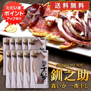 y}\ԒP5{IzkC H V ^銱 2 i10܃Zbgj  CJ G  ̂ n yY  v[g Mtg  䒆  