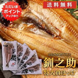 ySSԒ|Cg5{IzkC H V  ^ق銱 i5Zbgj  500gO̓TCY zbP @  ̂ 5Zbg n yY  v[