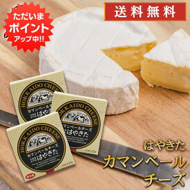 【マラソン期間中P2倍！】はやきたカマンベールチーズ 110g （3個セット） ◎ 北海道 安平町 夢民舎 ご当地 お土産 お取り寄せ プレゼント ギフト 贈答 御中元 お中元 御歳暮 お歳暮