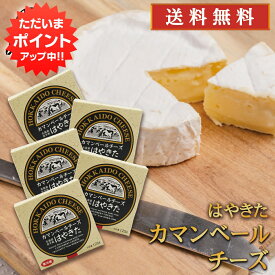 【マラソン期間中P2倍！】はやきたカマンベールチーズ 110g （5個セット） ◎ 北海道 安平町 夢民舎 ご当地 お土産 お取り寄せ プレゼント ギフト 贈答 御中元 お中元 御歳暮 お歳暮