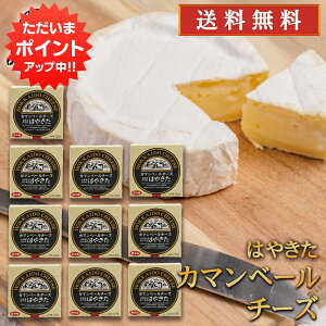 ySSԒ|Cg2{Iz͂₫J}x[`[Y 110g i10Zbgj  kC   n yY  v[g Mtg  䒆  Ε Ε