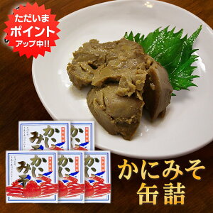 y18̓P10{Izɂ݂90g ʋl i5Zbgj IX Jj~\O  ܂ kC CN n yY  v[g Mtg  䒆  Ε Ε