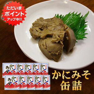 y}\ԒP2{Izɂ݂90g ʋl i10Zbgj IX Jj~\O  ܂ kC CN n yY  v[g Mtg  䒆  Ε 
