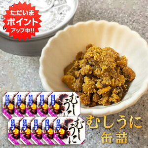 y}\ԒP5{Izނ 60g ʋl i10Zbgj _O Ej  ܂ kC CN ْ|c n yY  v[g Mtg  䒆  Ε 