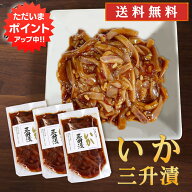 【SS期間中はP5倍！】いか三升漬 140g（3個セット） 送料無料 パウチタイプ 北海道 ピリ辛 イカ珍味 烏賊…