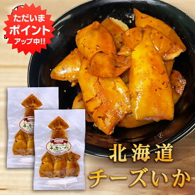 【SS期間中ポイント2倍！】チーズいか 100g（2個セット） 珍味 北海道 いか イカ ゲソ カマンベールチーズ おつまみ 真イカ ご当地 お土産 お取り寄せ プレゼント ギフト 贈答 御中元 お中元 御歳暮 お歳暮