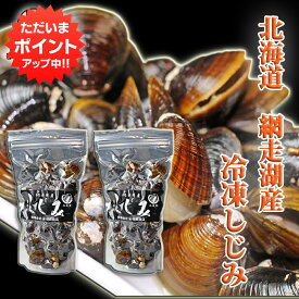 【SS期間中P5倍！】北海道 網走湖産 冷凍しじみ500g （2個セット） シジミ 味噌汁の具に 冷凍 ご当地 お土産 お取り寄せ プレゼント ギフト 贈答 御中元 お中元 御歳暮 お歳暮