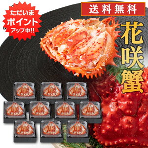 y0̕tP10{IzkC ԍKj b 80gi10Zbgj  ϔ Ⓚ bl ԍI  CNMtg n yY  v[g Mtg  䒆 