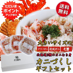 y}\ԒP10{IzkCCNMtg 傫TCỸJjÂ3JjقgZbg  ^oKj ъI ԍI CN H CNMtg ܂ n yY 