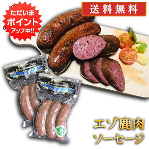 y}\ԒP5{IzG]VJ NRE\[Z[W 240gi2Zbgj  ڈΎ \[Z[W J[ wV[ kC n yY  v[g Mtg  