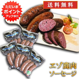 y}\ԒP5{IzG]VJ NRE\[Z[W 240gi5Zbgj  ڈΎ \[Z[W J[ wV[ kC n yY  v[g Mtg  