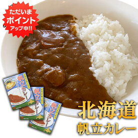 【0の付く日P5倍！】帆立カレー （3個セット） 北海道産ほたて レトルトパウチ 海の幸カレー ホタテ 北海道 ご当地 お土産 お取り寄せ プレゼント ギフト 贈答 御中元 お中元 母の日 父の日