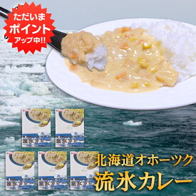 【マラソン期間中P2倍！】流氷カレー 1食分 （5箱セット） レトルト 白いカレー 北海道 ほたて貝柱 ホワイトカレー ご当地 お土産 お取り寄せ プレゼント ギフト 贈答 御中元 お中元 母の日 父の日