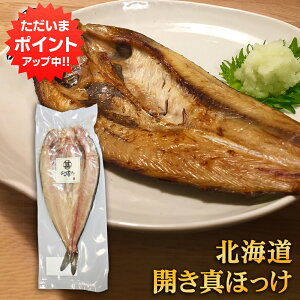 �y���|�C���g�o�b�N�Պ��Ԓ���P20�{�I�z����J���^�z�b�P �i1���j���� �J���ق��� �@�� ����蔲�Q �z�b�P�J������ �� �Ă��� �k�C�� ���H �����n ���y�Y ������ �v���[���g �M�t�g ����